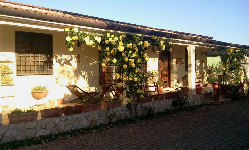 B&B Rolu Formello Buitenkant foto