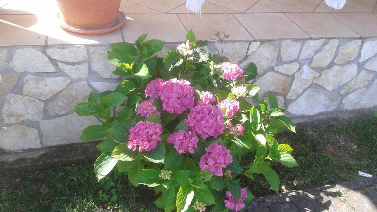 B&B Rolu Formello Buitenkant foto